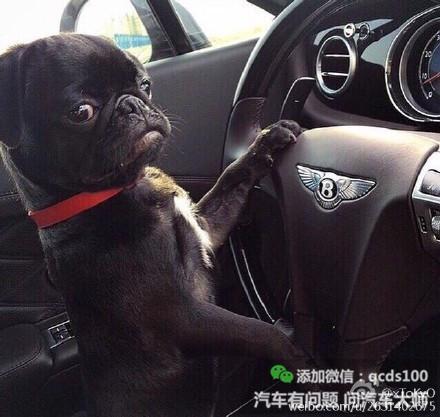 在中国 “老司机”要练就的不仅是车技、还有觉悟